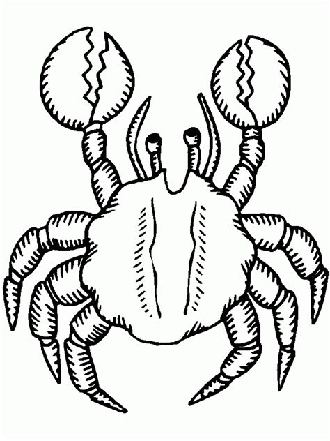 Crab Printable Coloring Page