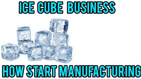 Craft Your Fortune: The Ultimate Guide to Starting a Booming Ice Cube Business