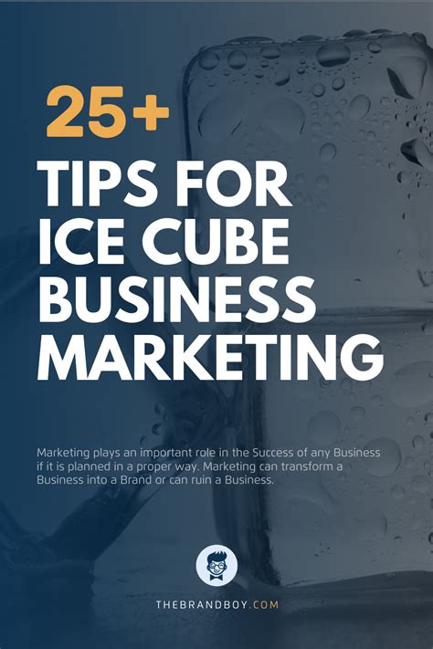 Craft Your Icy Empire: The Ultimate Ice Cube Business Plan
