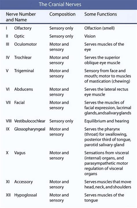 Cranial Nerve Function Chart
