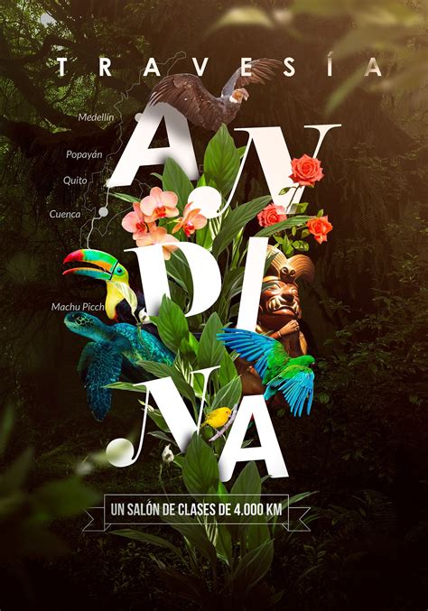 Creative Andina