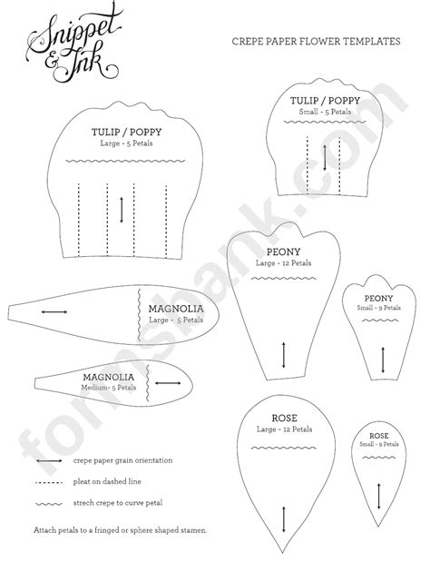 Crepe Paper Flower Templates