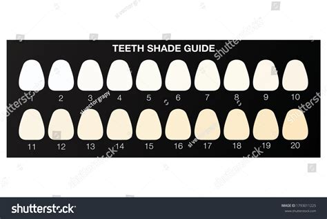 Crown Teeth Colour Chart