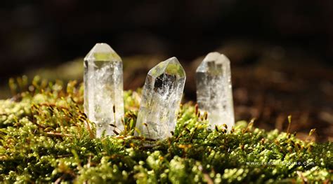 Crystal Clarity: Unveiling the Mystique of Clear Ice Factories