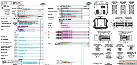 Cummins Ecm Wiring Diagram