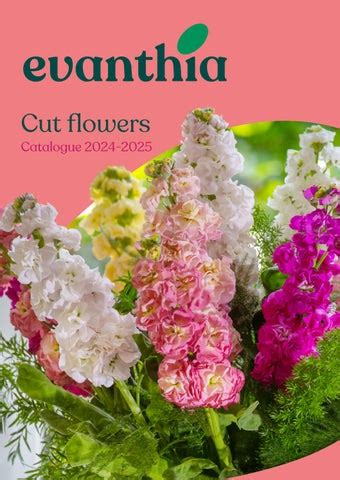 Cut Flowers Catalogue