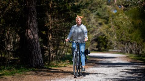 Cykla Gotland: En Guide till Cykelparadiset
