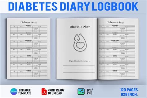 DIABETIC DIARY Log Book book cover