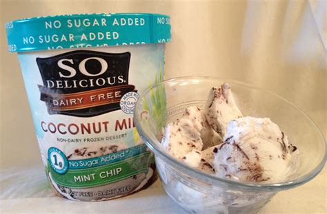 Dairy-Free, Sugar-Free Ice Cream: A Sweet Treat for Your Health