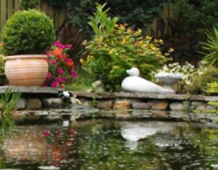 Dammar och fontäner: En oas för din trädgård