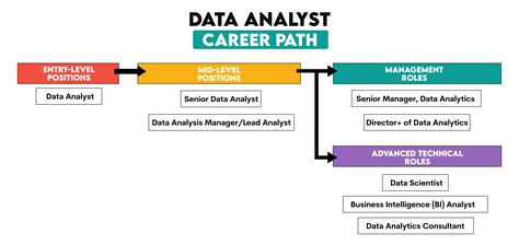Data Analyst Career