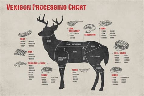 Deer Butchering Chart