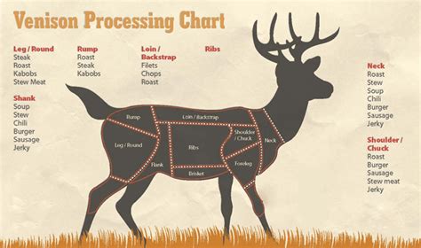 Deer Meat Processing Chart