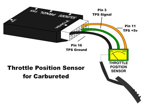 Delphi Throttle Position Sensor Wiring Schematic