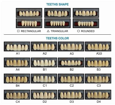 Dentist Tooth Color Chart