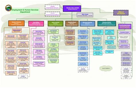 Department Of Health And Human Services Victoria Org Chart