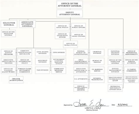Department Of Justice Chart