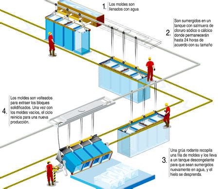 Descubre el mundo de las plantas fabricadoras de hielo: una guía completa