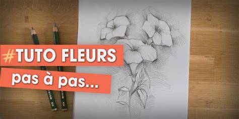 Dessiner Les Fleurs