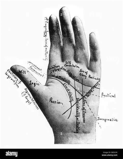 Detailed Palmistry Chart