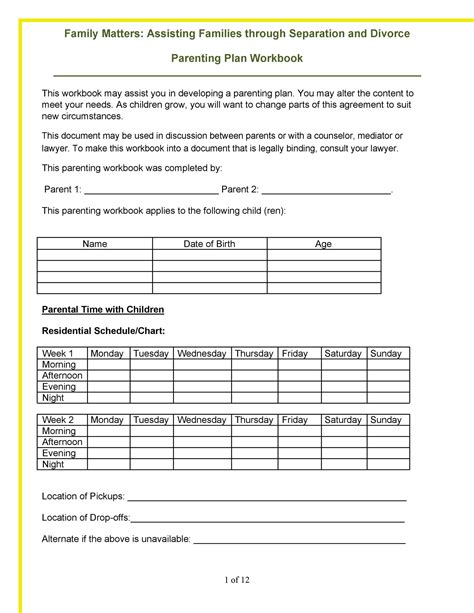 Detailed Parenting Plan Template