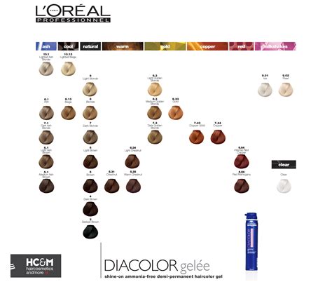 Diacolor Richesse Shade Chart