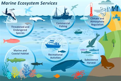 Dickinson College Changing Ocean Ecosystem Course Catalog