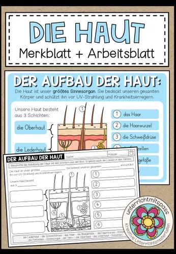 Die Haut