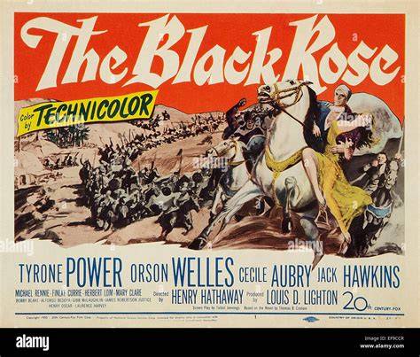 Die schwarze Rose