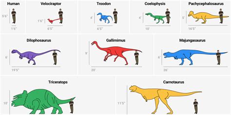 Dinosaur Size Comparison Chart