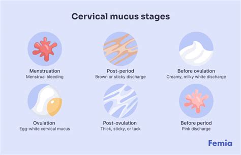 Discharge Cycle Chart