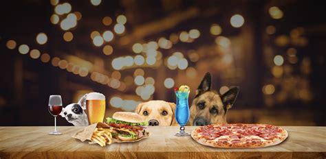 Discover Boos Ice House and Dog Bar: The Ultimate Destination for Pet Lovers