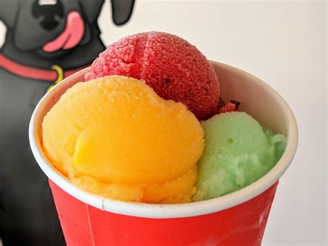 Discover the Coolest Summer Treat: Exploring the Delights of Granizadora Icees