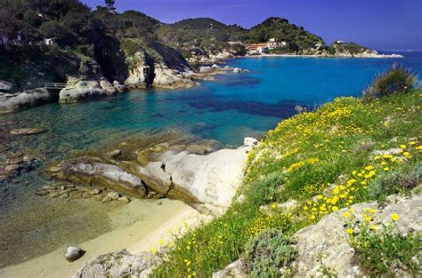 Discover the Enchanting Isola dElba with Färja Elba: A Journey of a Thousand Emotions