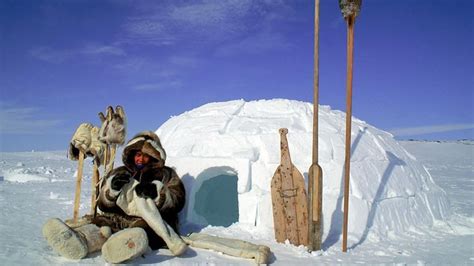 Discover the Enchanting World of Domestic Eskimos: A Comprehensive Guide