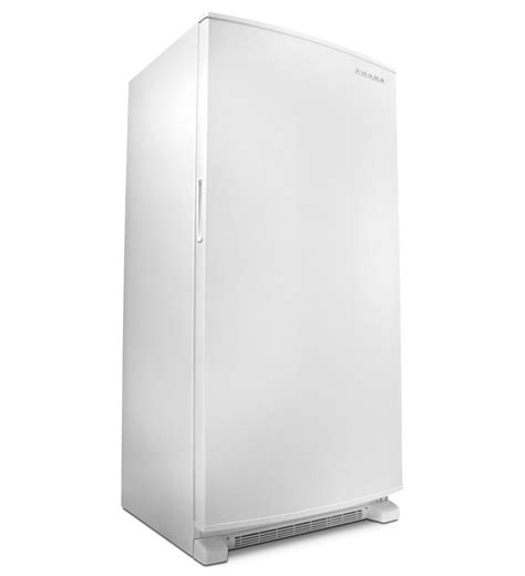Discover the Revolutionary Standing Freezer: Your Gateway to Convenience and Savings