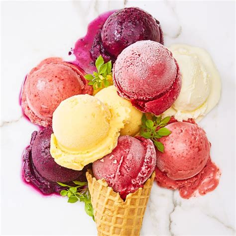 Dive into Delight: Exploring the World of Fruity Ice Cream Makers