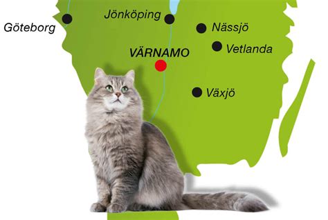 Djurens Vänner Jönköping: Gör skillnad för djurens välfärd