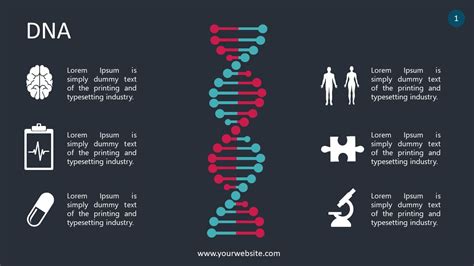 Dna Is Used As A Template For Making