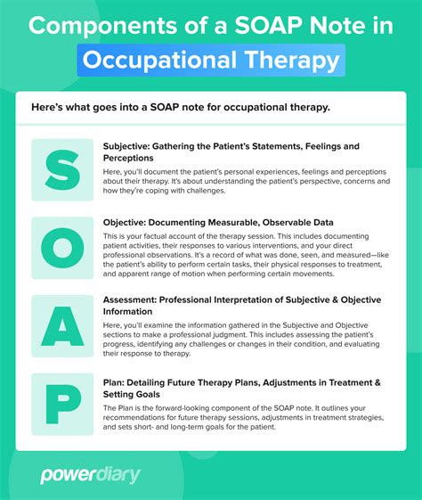 Documentation Manual For Occupational Therapy Writing Soap Notes