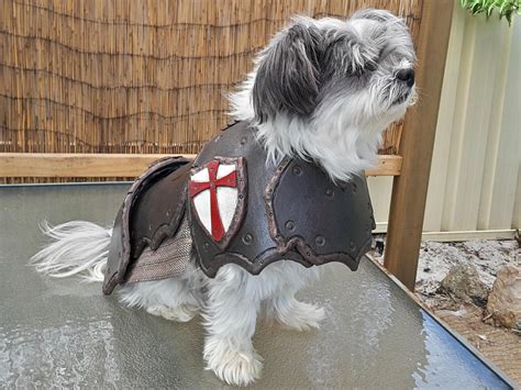 Dog Armor Pattern
