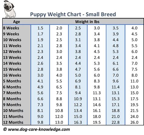 Dog Breed Weight Chart