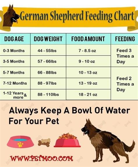 Dog Food Chart For German Shepherd