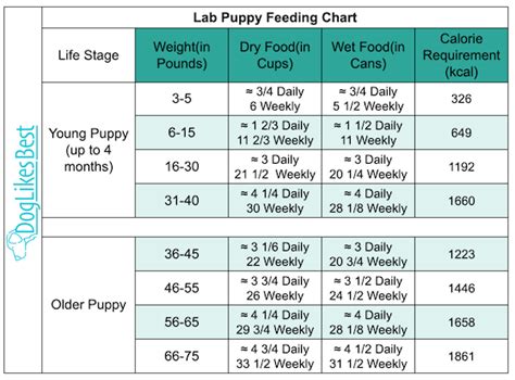 Dog Food Chart For Labrador