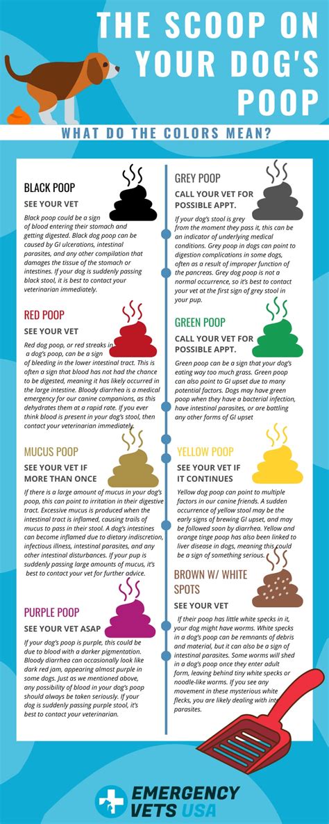 Dog Poop Color Chart Pictures