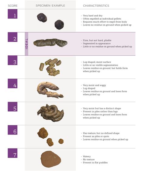 Dog Poop Diarrhea Chart