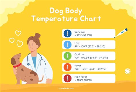 Dog Temperature Chart