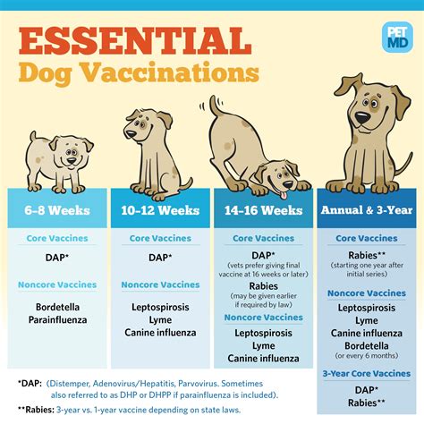 Dog Vaccine Chart
