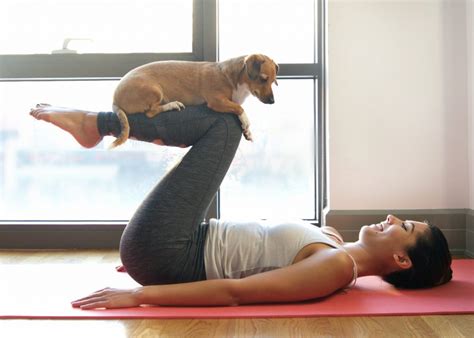 Doga: Yoga with Your Dog