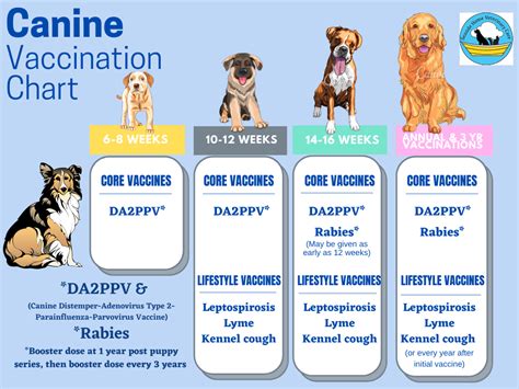 Dogs Vaccine Chart